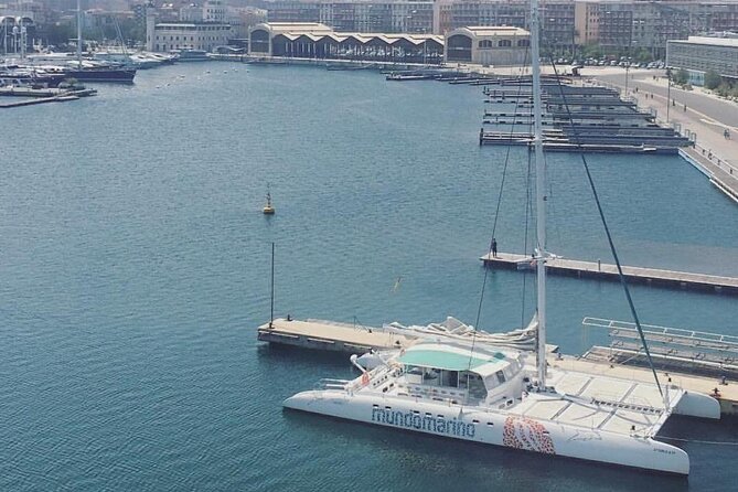 1 Hour Sailing Excursion in Valencia - Price and Value: Why This One-Hour Sail Feels Like a Smart Buy