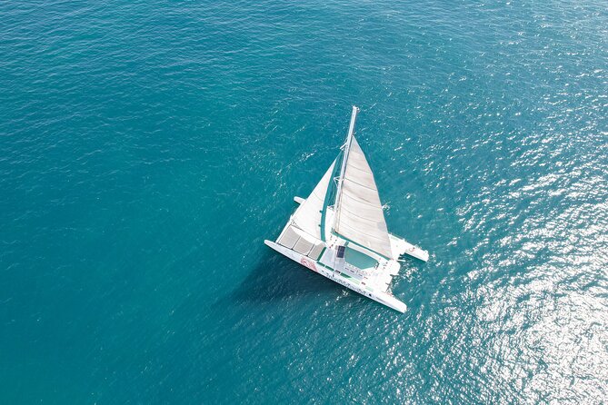 A day at Sea aboard Mundo Marino Catamaran in Valencia - From Malvarrosa to La Marina: the coastline part