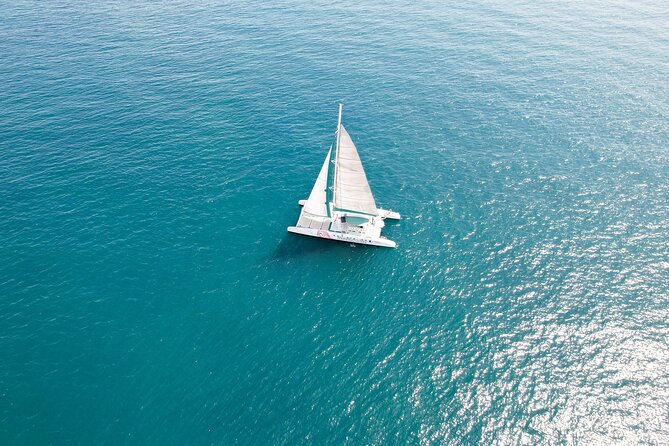 A day at Sea aboard Mundo Marino Catamaran in Valencia - Sailing vs. motoring: why your expectations matter