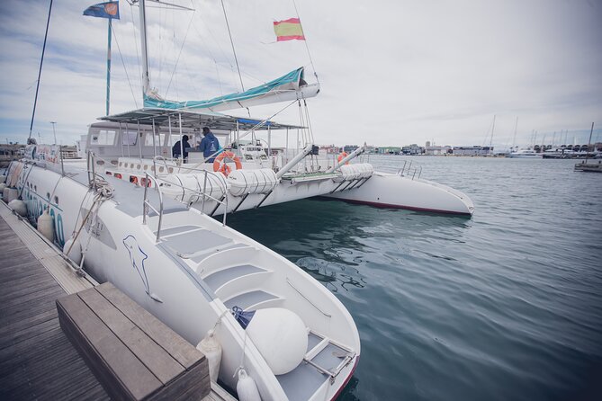 A day at Sea aboard Mundo Marino Catamaran in Valencia - The vibe onboard: comfortable, family-friendly, sometimes crowded