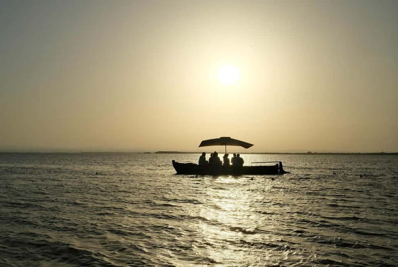 Albufera Bike Adventure: Wetlands, Beaches & Biodiversity - Key highlights that make this ride worth your time