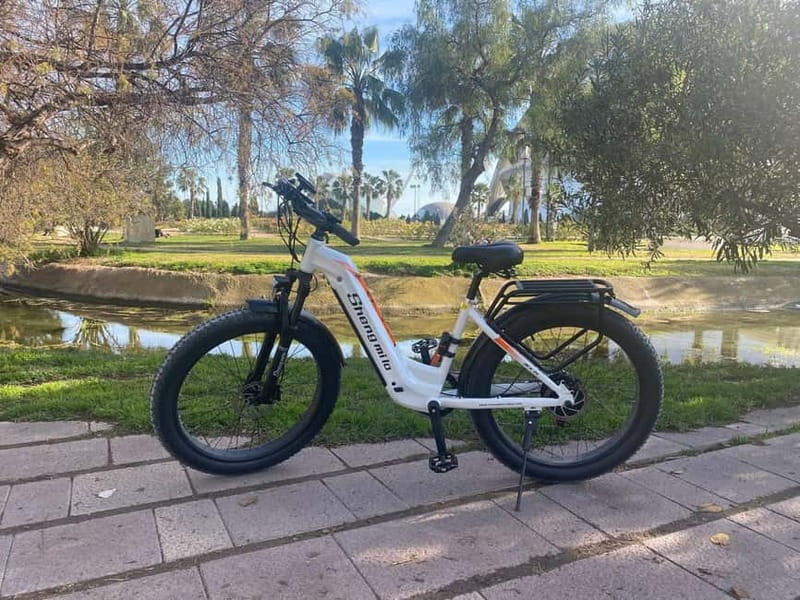 Albufera Bike Adventure: Wetlands, Beaches & Biodiversity - Ruzafa start: meeting, bike fit, and why the E-bike matters