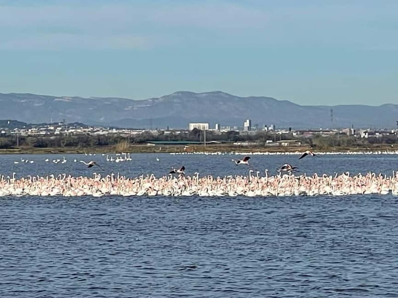 Albufera Bike Adventure: Wetlands, Beaches & Biodiversity - Purísima Concepción and Estanco del Pujol: history and local culture on the route