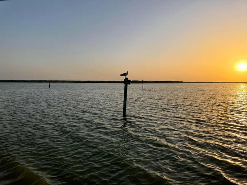 Albufera Bike Adventure: Wetlands, Beaches & Biodiversity - Valencia to Pinedo: easing out of the city on sea-air miles