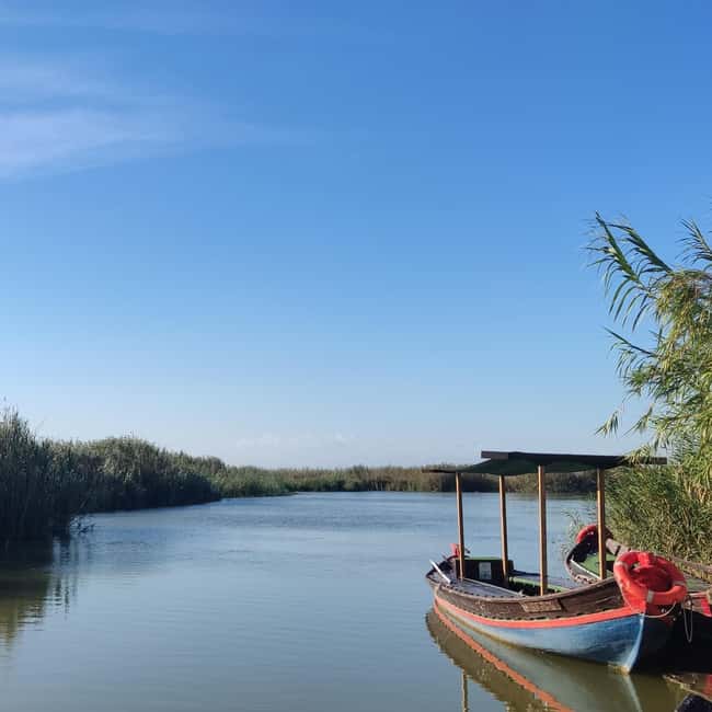 Albufera de Valencia: boat ride and visit to a barraca - Birds, channels, and the role of the guide (Marta and Raul)