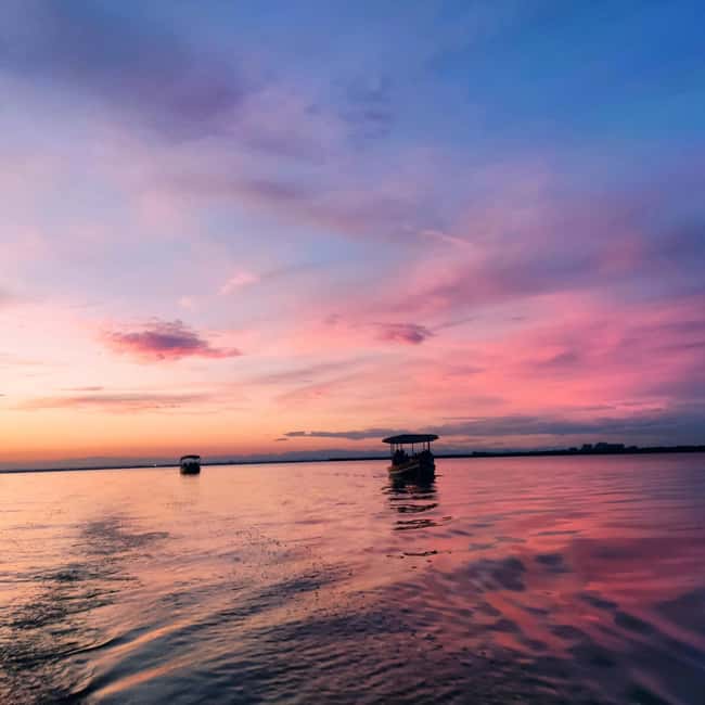 Albufera de Valencia: boat ride and visit to a barraca - Should you book this Albufera de Valencia boat and barraca tour?