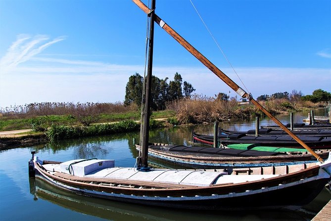 Albufera: Lake, Paella and Birdwatching - Who this Albufera birding and paella mix is best for