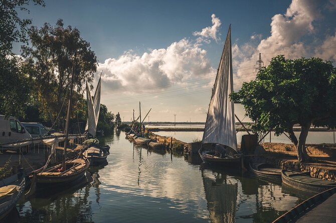 Albufera Natural Park with Sunset Boat Tour from Valencia - Price and Value: What $46.96 Really Buys You