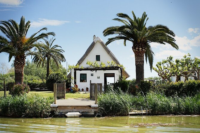 Albufera Natural Park with Sunset Boat Tour from Valencia - Stop 2: El Saler Beach—A Quick Hit of Dunes and Sea