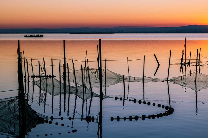 Albufera Natural Park with Sunset Boat Tour from Valencia - Who Should Book This Tour (and Who Might Skip It)