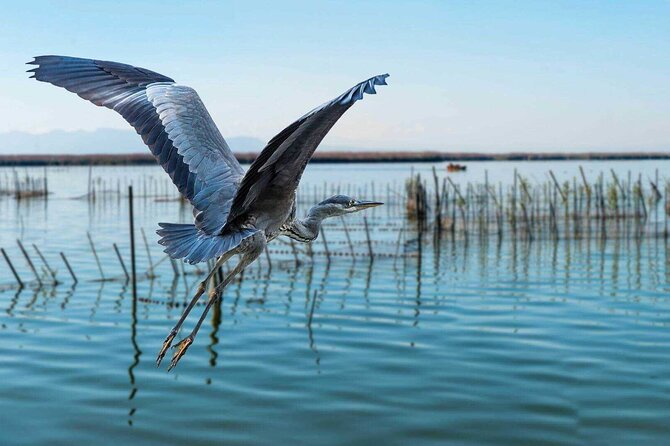 Albufera Natural Park with Sunset Boat Tour from Valencia - Stop 1: L’Albufera—Rice Paddies, Lakes, and Local Stories