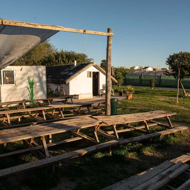 Albufera: Sunset and visit to the barraca - The Boat Ride at Sunset: Calm Water, Birds, and a Sky That Changes Fast