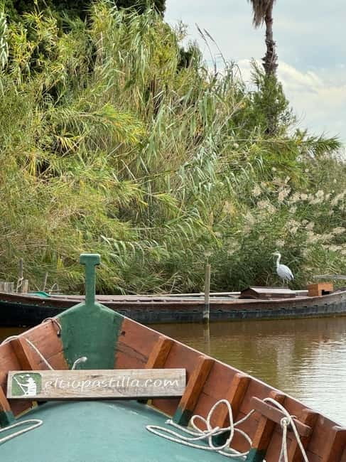 Albufera Valencia: Guided electric boat ride, also at sunset - Why an electric boat on the Albufera is such a smart match