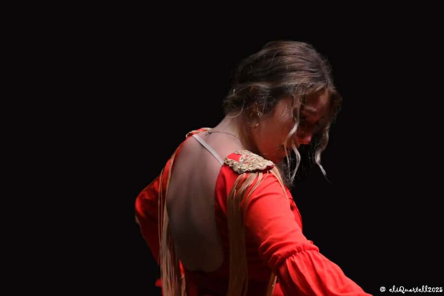 Authentic Flamenco Show Valencia - Key things to know before you go