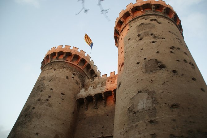 Best of Valencia 4-Hour Private Tour with transport - Basilica de la Virgen de los Desamparados and Torres de Serranos (free stops)