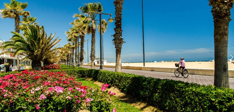 Best of Valencia: Highlights with Private Transport - A Private Valencia Plan That Doesn’t Feel Rushed