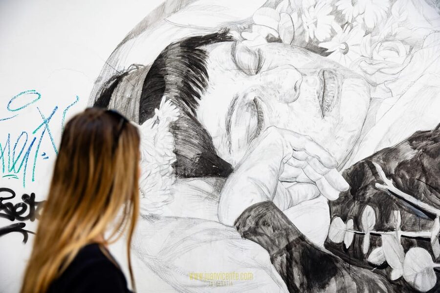 Best Street Art in Valencia Walking Tour - Pricing and value: is $41 fair for 2 hours?