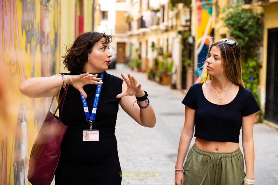 Best Street Art in Valencia Walking Tour - What’s included (and what you should bring)