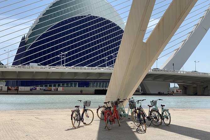 Bicycle Rental in Valencia - Pickup at Carrer dels Aluders: Smooth Start, Real Guidance