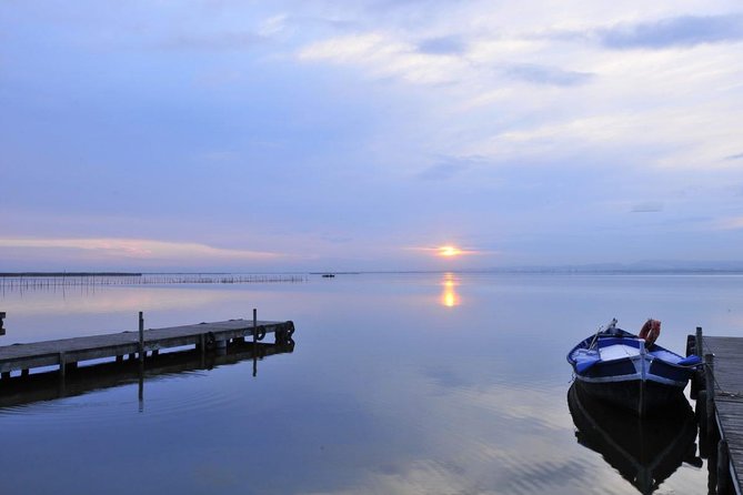 Boat Tour and Paella tasting in Valencia (Booking 2 weeks before) - The Albufera Natural Park boat ride: what you actually get