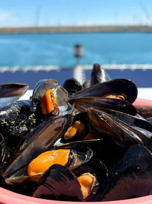 Catamaran trip and visit to the mussel nurseries with a snack - Key things to know before you go