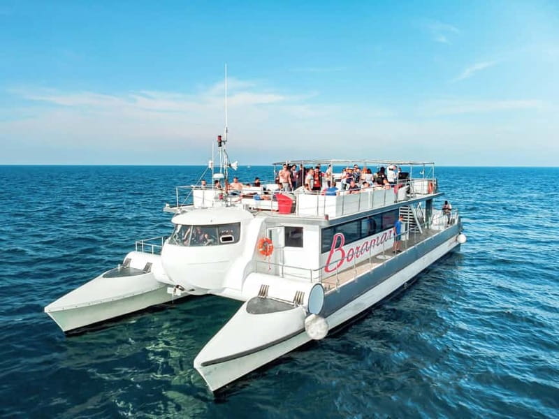 Catamaran trip and visit to the mussel nurseries with a snack - Mussel tasting with white wine: a proper local snack, not just a sampling