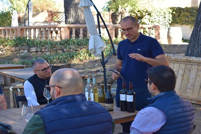 Cheese Factory Workshop with Wine Tasting in Requena, Valencia - The Cheese Tasting: 8 Cheeses, Unlimited Drinks, and a Real Flavor Check