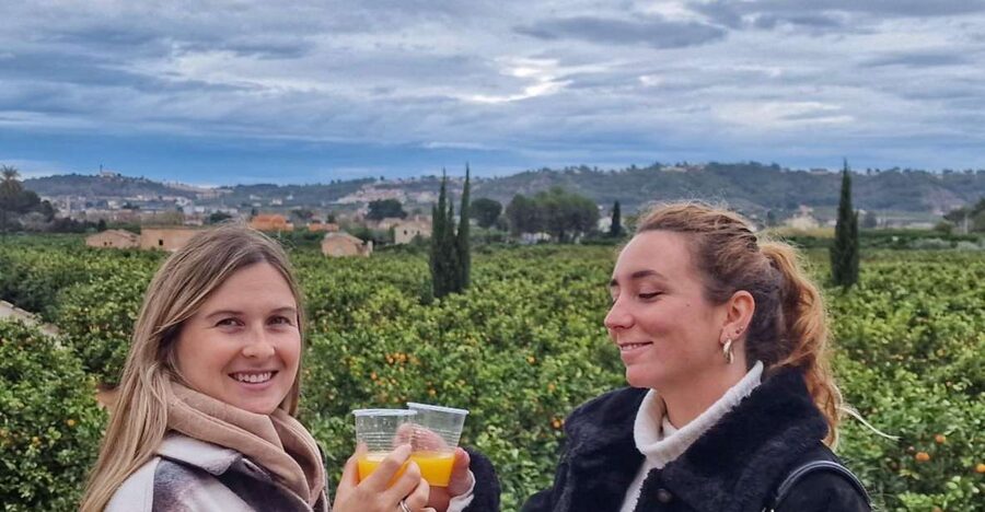 Citrus Treasures: Exploring Valencia's Orange Grove - Key Highlights You’ll Feel Immediately