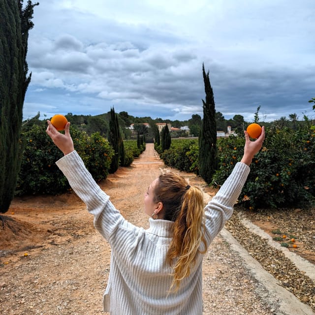 Citrus Treasures: Exploring Valencia's Orange Grove - Inside the 1870 House: Eccentric Style You Can’t Skip