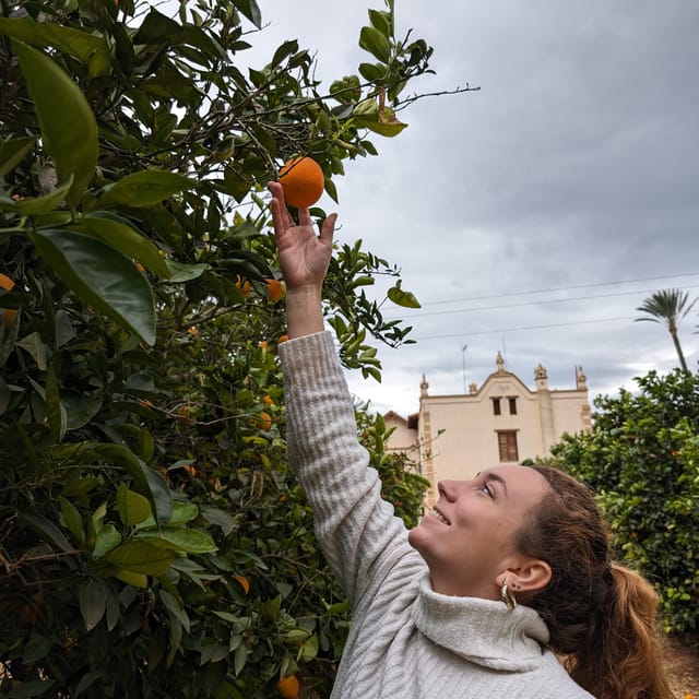 Citrus Treasures: Exploring Valencia's Orange Grove - Getting There Smoothly: Small Group Size and Included Transport