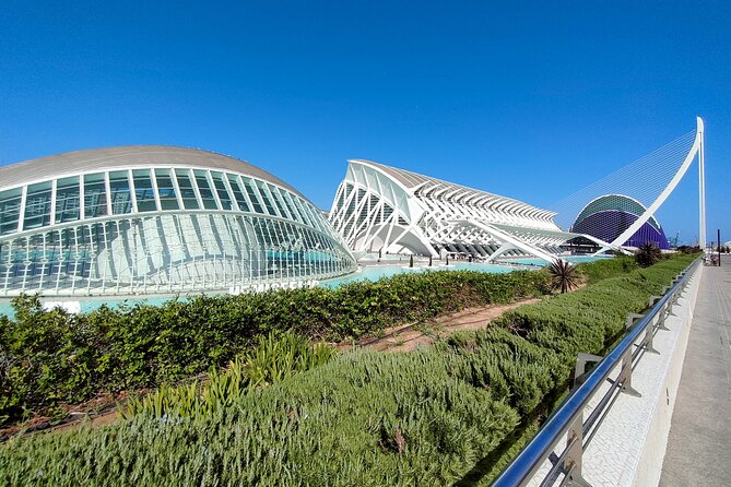 City of Arts and Sciences Bike Tour - Stop 1: Jardi del Turia’s 9-kilometer green rhythm