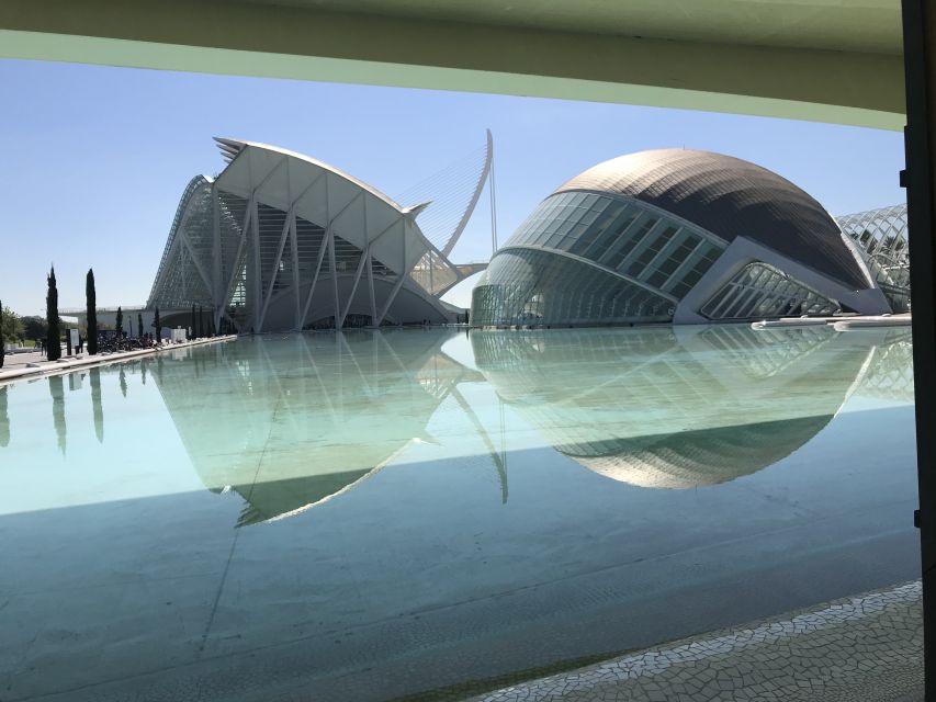 City of Arts & Sciences Tour on Bicycle, E-Bike or E-Step - Arriving at the City of Arts and Sciences: modern architecture that you can circle