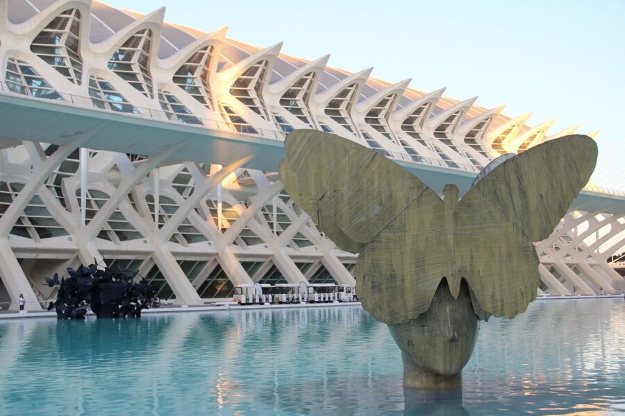 City of Arts & Sciences Tour on Bicycle, E-Bike or E-Step - A guide-led tour, with real differences in quality