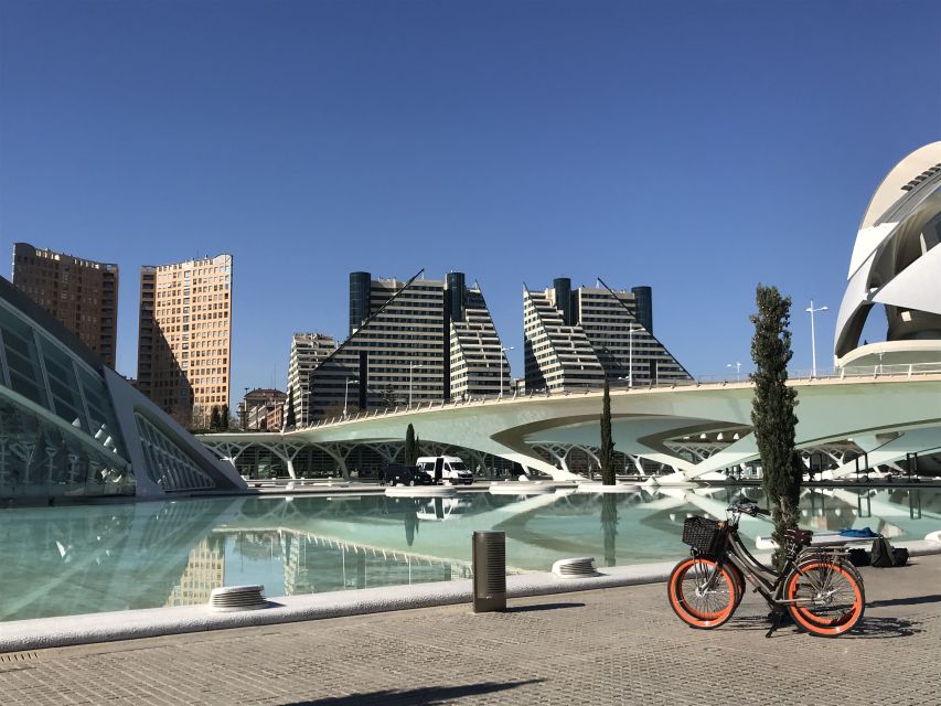 City of Arts & Sciences Tour on Bicycle, E-Bike or E-Step - Turia Park on wheels: why the “lungs of Valencia” work so well by bike