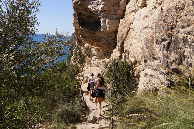 Coastal Cliffs & Beaches: Private Full Day Tour - Price and value for a private coastal hike (about $240.82)
