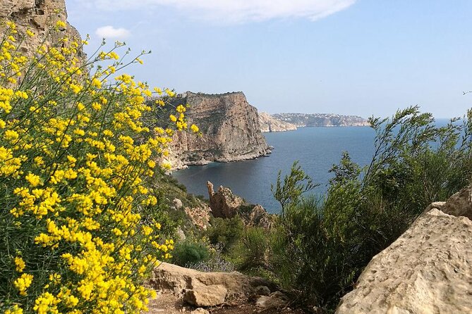 Coastal Cliffs & Beaches: Private Full Day Tour - Who this tour fits best (and who should skip it)