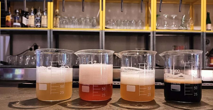 Craft Beer Tasting and tapas in Valencia - Key things to know before you go