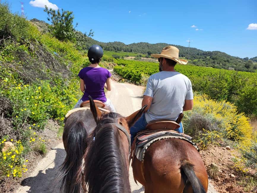 Discover the interior of Valencia on horseback - Key things to know before you book