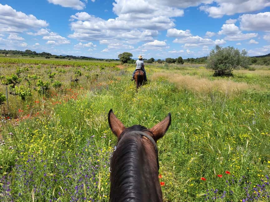 Discover the interior of Valencia on horseback - Saddles and citrus-scented air: what the ride is really like