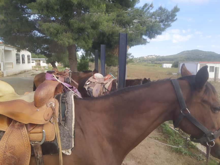Discover the interior of Valencia on horseback - Getting to Riba-roja de Túria without stress: metro to pickup