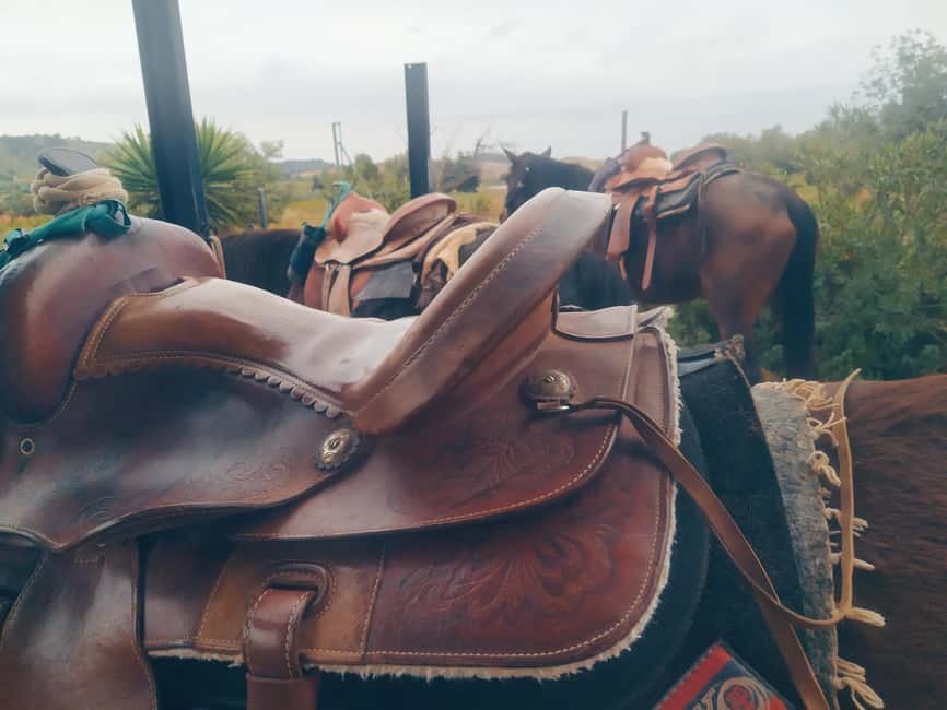 Discover the interior of Valencia on horseback - The countryside trek: pine, olive, almond, and vineyards