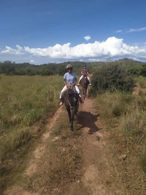 Discover the interior of Valencia on horseback - The ranch picnic: local delicacies that actually feel like a reward