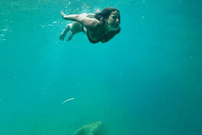 Discover Valencia's Magical Nature - Should you book Dreamtours Valencia’s Magical Nature day?
