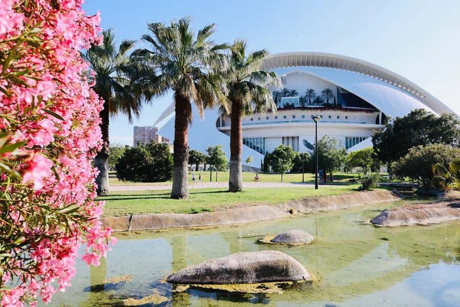 Dutch-Style Bike Tour in Valencia - Turia Park: the calm stretch that makes the whole tour feel better