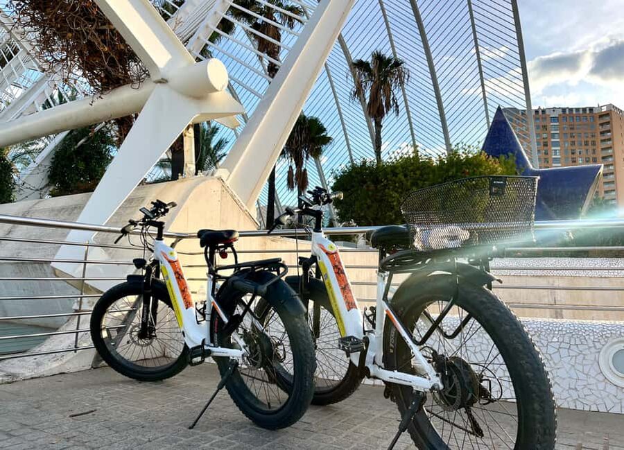 Dutch-Style Bike Tour in Valencia - Price and value: is $41 a good deal?