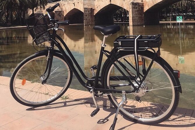 E-Bike Grand Valencia Private Tour - Jardines del Real and Jardins de Vivers: the royal garden contrast