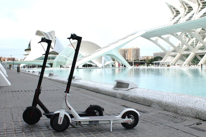 Electric Scooter Rental - Key things I’d prioritize before you book