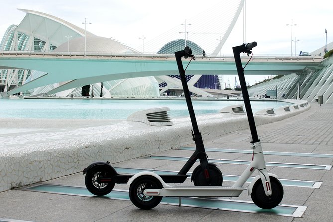 Electric Scooter Rental - Route ideas: Ciutat Vella to Turia Park and the beach