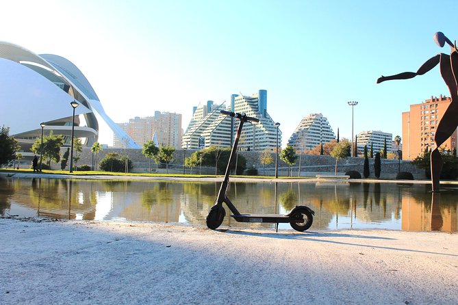 Electric Scooter Rental - Language, flexibility, and what the staff can help with