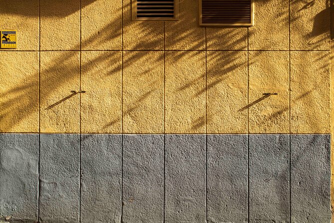 Excellent Private Photography Walking Tour & Workshop in Valencia - Price and Value: Why $178.84 Can Feel Fair Here